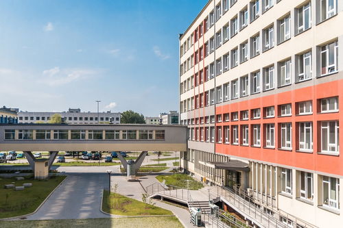 华体会官网-中国青少年篮球课程体系现代化建设，《中国青少年篮球训练教学大纲(2013版)》
