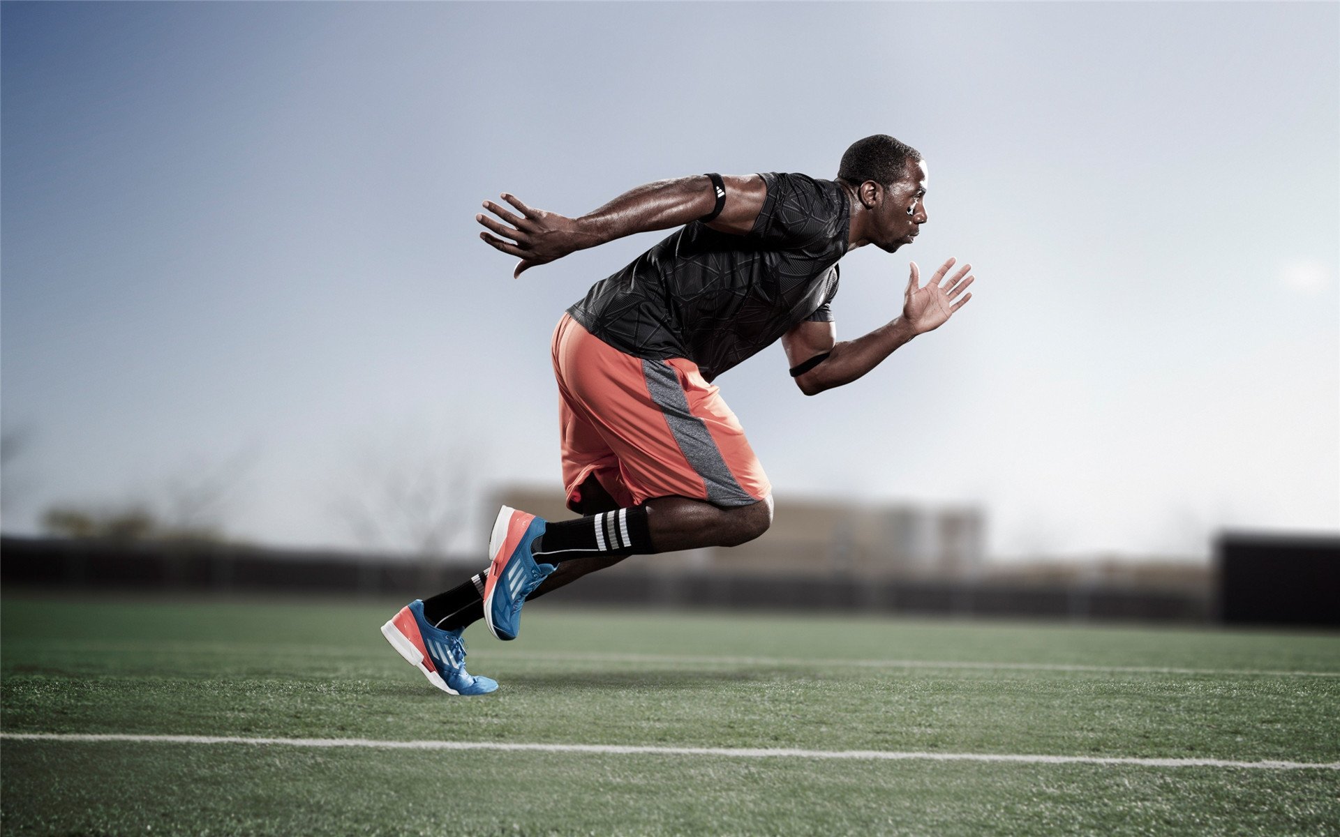 “自由搏击英雄集结,四川省体育馆上演极限对决”