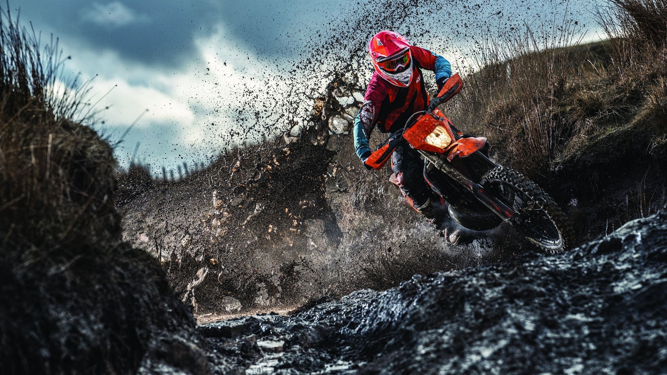 全黑队的每次进攻和防守都极具威胁，是橄榄球锦标赛中的顶尖球队